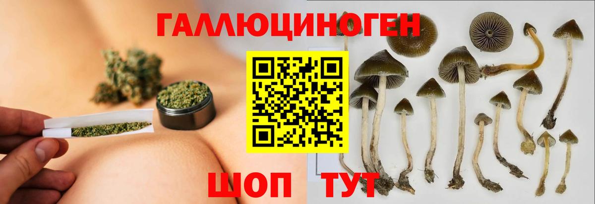 Галлюциногенные грибы мухоморы Нальчик
